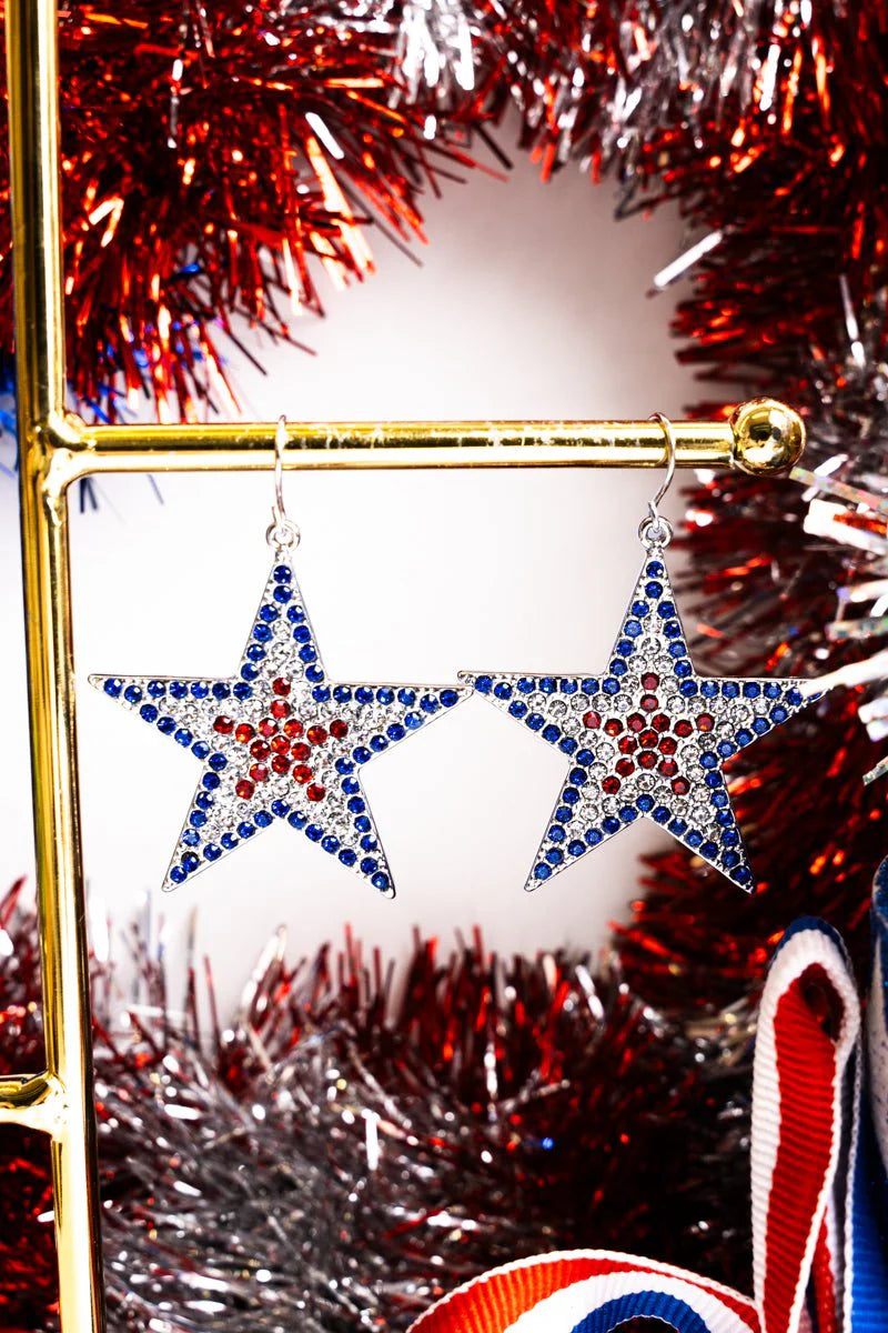 Starry Night Patriotic Earrings