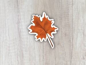 “Maple Fall Leaf” Sticker