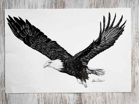 Hand Drawn Bald Eagle